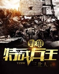 野狼特戰兵王